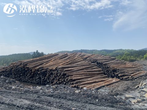 河道打樁為什么選擇松木樁來(lái)處理軟地基？-松木樁施工使用范圍